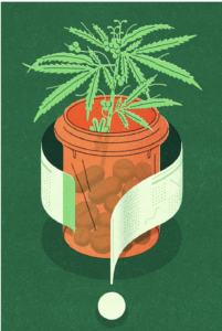 Read more about the article Medical Marijuana Is Not Regulated as Most Medicines Are