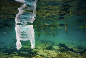 Read more about the article Hundreds of fish species, including many that humans eat, are consuming plastic
